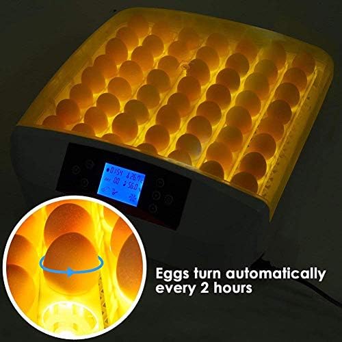 ALREMO 103234536 56 Digitalni inkubator za jaja kontrola temperature vlage perad Hatcher automatsko okretanje