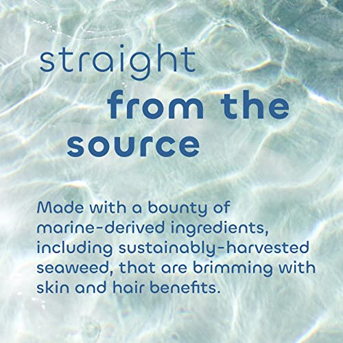 Seaweed Bath Co. Detox set šampona i regeneratora, mirisa ruzmarina, 12 unca, održivo ubrano morske alge, francuska