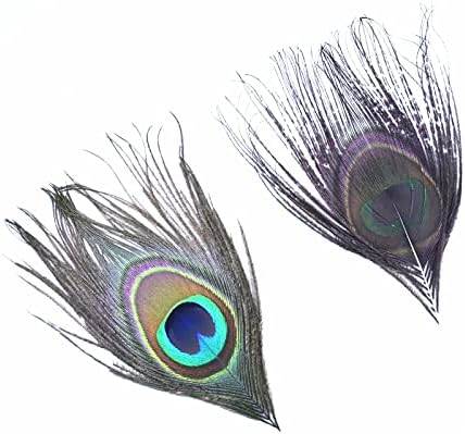 TTNDstore 10kom / Lot prirodni rijetki paun perje oko perje za ukras fazan pero dekor Karneval dodatna oprema