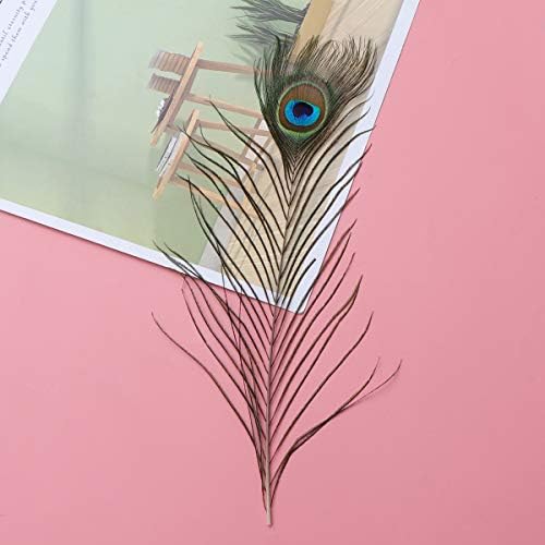 30kom 25-30cm prirodne perjanice DIY rep perjanice za zanatske Umetničke šešire kostimirana zabava dekoracija