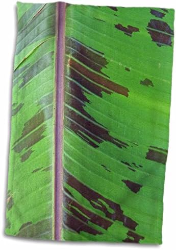 3D ružičasti zeleni crni makro banana list twl_35290_1 ručnik, 15 x 22