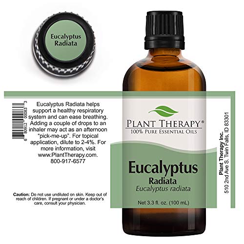 Biljna terapija eukaliptus Radiata Esencijalno ulje 100 ml čisto, nerazrijeđene, terapijske