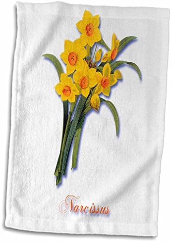 3Droza Narcis, botanički print žutog izvorskog cvijeta i narančaste boje. - Ručnici