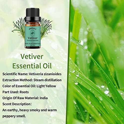 yethious 2 paket Vanilla Vetiver eteričnih ulja Set čista organska Aromaterapijska ulja za difuzor,