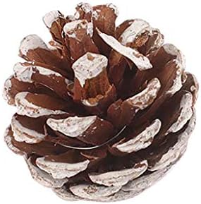 Božić Pineta 6pcs Prirodni privjesak Božićni dodaci Prirodno drvo boja Kućni dekor Viseći perle za vrata za djevojčice