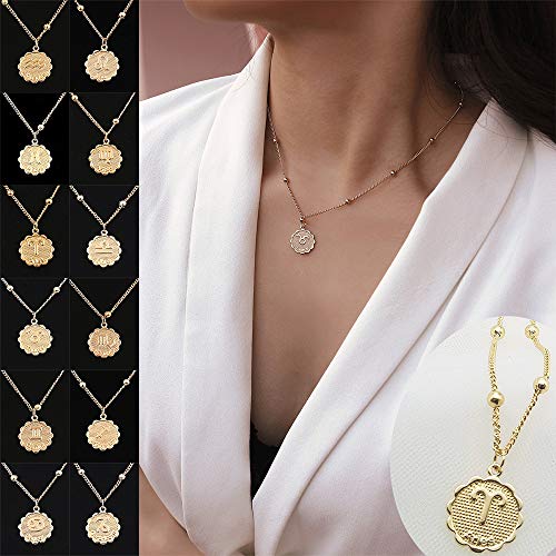 Aimimier horoskopski znak ogrlica sa ugraviranim novčićem privjesak Blizanci ogrlica Astrologija Izjava nakit poklon za djevojku žene