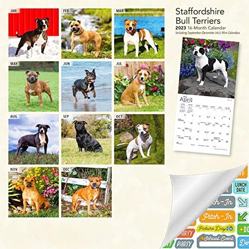 Staffordshire Bull Terriers Calendar 2023 - Deluxe 2023 Stafford Mini kalendar paket sa preko 100 naljepnica