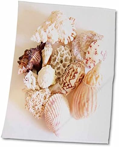 3droza CLESEENE Dekorativna - prodaje morske školjke - ručnike