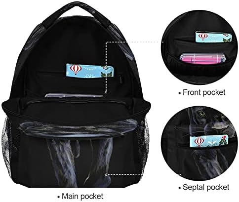 Xigua žestokinjski ruksak za crni panther za dječaka, putni ruksak za prijenosnog računala, izdržljive vodootporne