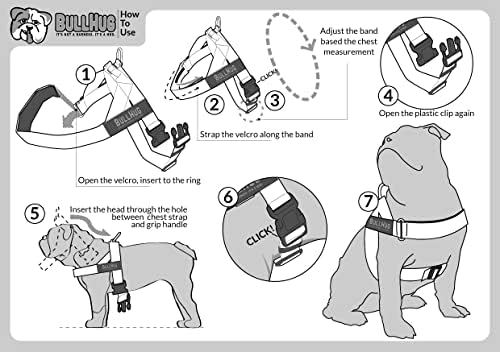 Bullhug kabel - napravljen za veće pse na grudima poput engleskih buldoga, francuski buldog, puge