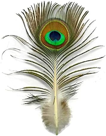 Ttndstore prirodno rijetko paunovo perje oko 5-10cm 2-4 perje za Fazansko perje za izradu nakita Plumas