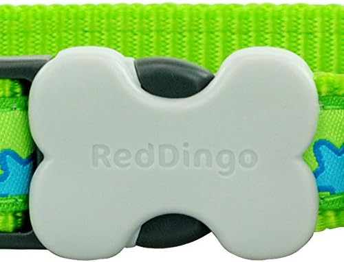 Crveni Dingo Lime Green s plavim ovratnikom za pse, srednje / velike / 20 mm