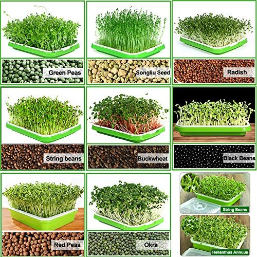 Lejoy Garden Seed Sprouter Tacna BPA besplatno PP Bez Zemlje, uzgajivač zdrave pšenične trave velikog