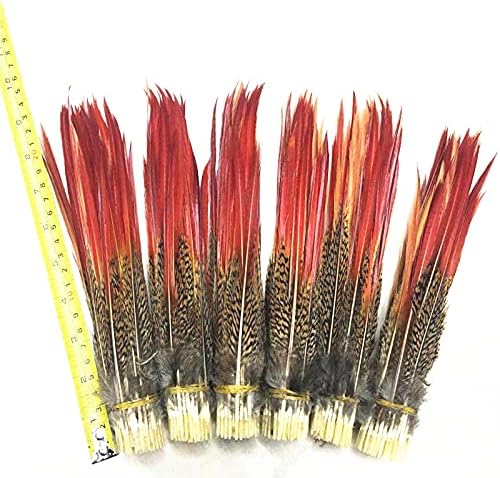 Zamihalaa Zlatni fazan crveni vrhovi labavo pero 5~30cm / 2-12inch crveni mač perje za zanate