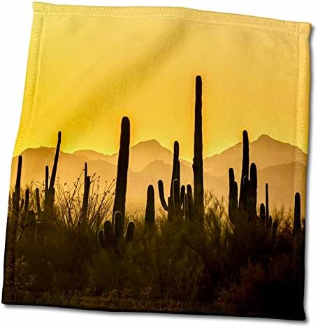 3drose SAD, Arizona, Nacionalni park Saguaro. Sonoran pustinja na zalasku sunca. - Ručnici