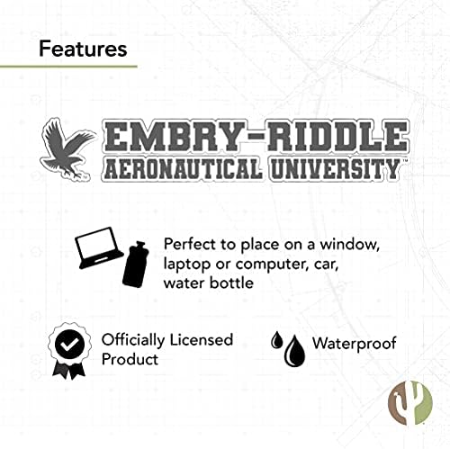 Embry-Riddle Aeronautical University Daytona Eagles ERAU ime Logo Vinyl Decal Laptop flaša vode Auto spomenar