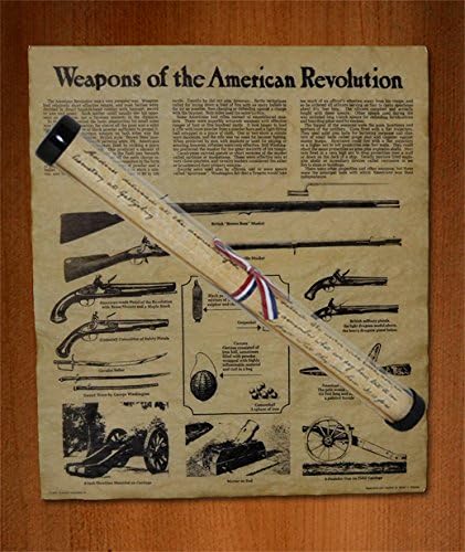 Naše amandmane oružje američke revolucije 14x16