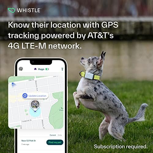 Whistle Switch GPS + zdravlje + fitnes Smart Dog Collar, 24/7 pas GPS Tracker Plus zdravlje pasa & fitnes Monitor, elegantan dizajn, vodootporan, 2 punjive baterije, za pse 5lbs i više M / L
