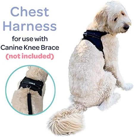 Labra pasji omot za protezu za pseće koljeno, fleksibilna potporna proteza sa metalnom Udlagom za