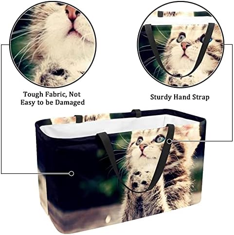 Lorvies torbe za višekratnu upotrebu kutije korpa za odlaganje, crna mačka sa sklopivim pomoćnim torbama za cvijeće