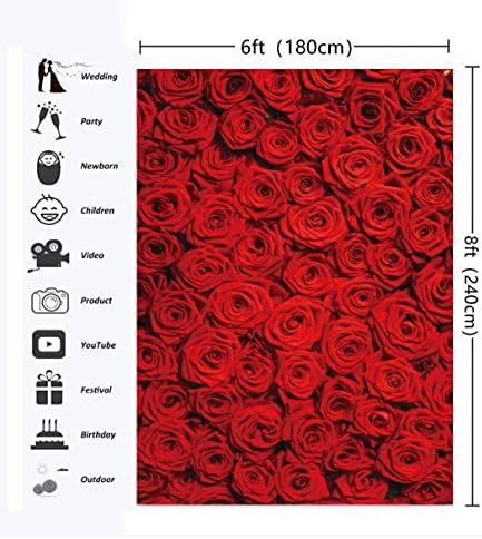 RUINI Crvena ruža cvjetna Vjenčana fotografija pozadina ruže zid ljubitelji djevojke deca fotografije