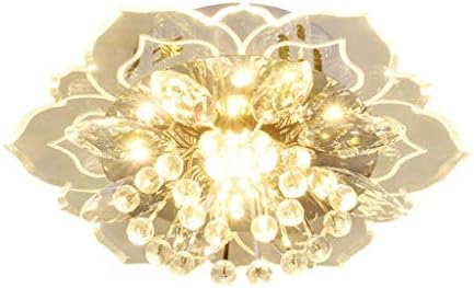 Zhaolei LED kristalno staklo stropno svjetlo cvijeće Oblik šarene stropne svjetiljke za hot-hotal