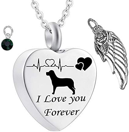 misyou Volim te zauvijek 12 Rođendanska urna ogrlica srce pas spomen uspomena pet privjesak kremiranje nakit