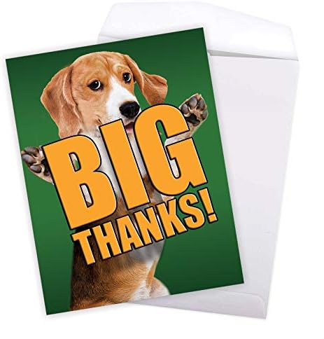 Najbolja kompanija za kartice - 1 velika zahvalnica-Pozdrav Za dopisnice za životinje, slatka kartica