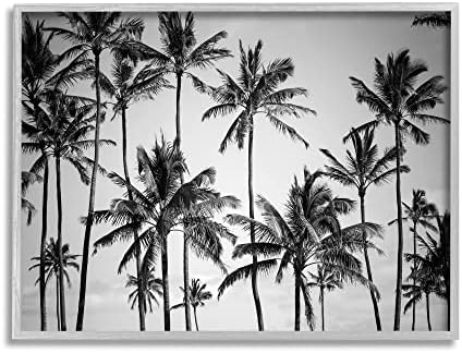 Stupell Industries Palm Trees Skyline Crno-bijela fotografija, Dizajn dizajnom Fabrikken