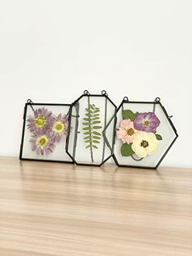 Beedecor dvostruki stakleni okvir za prešano cvijeće, Polaroid Photo and Artwork - viseći prešani