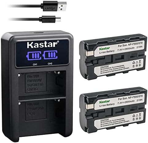 Kastar NP-F570 LED2 USB punjač kompatibilan sa DSR-V10 EVO-250 DKC-FP3GV-A100 GV-A500 GV-A500E GV-A700 GV-D200