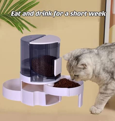 Najnovija Aarpurt gravitaciona hranilica za kućne ljubimce i vodenica posuda za vodu za mačke