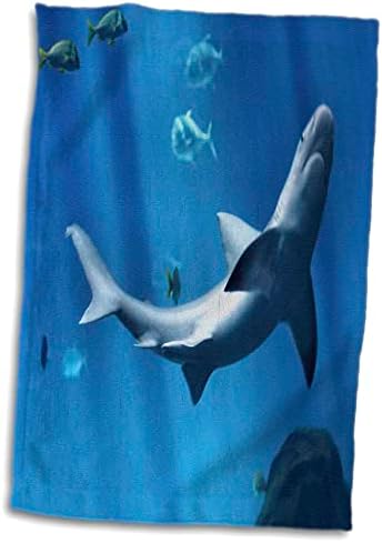 3Droza Florene podvodne životinje - morski pas - ručnici