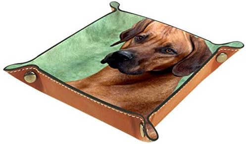 Lyetny Rodesian Ridgeback Dogs Organizator nosača za skladištenje plašta Beddide Caddy Desktop ladica Promjena tipke Novčanik Coin Box Play Storay Valet, 20,5x20,5cm