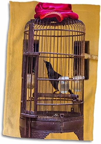 3Droza Danita Delimont - Bird - Songbird u kavezu, Hanoi, Vijetnam - Ručnici