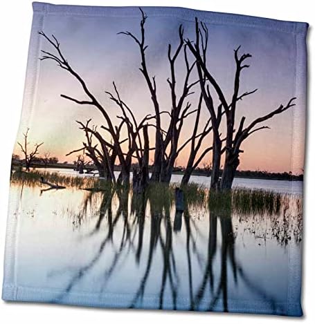 3Droza Australija, Dolina rijeke Murray, Bonney Jezero, okamenjeni drveće, zalazak sunca - ručnici