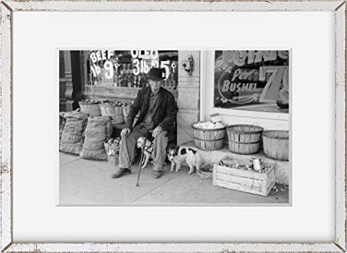 Beskonačne fotografije fotografija: Muškarac, Psi ispred trgovine, Robinson,Illinois, Maj 1940., IL, John