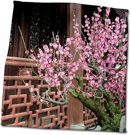 3Droza Chian, Šangaj. Yu Yuan Gardens, ružičaste proljetne cvjeta na drvetu. - Ručnici