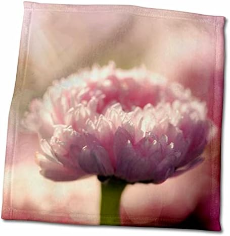 3Droza Prekrasna cvijeća Pink Daisy u pozadinskom osvjetljeju - ručnici