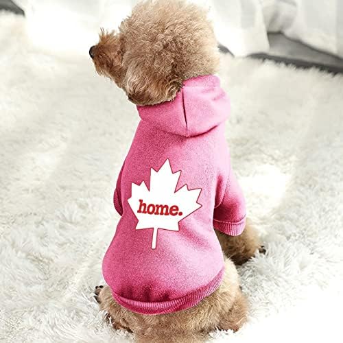 Kanada javorov list Početna kućni ljubimac kostimi odijelo s šeširom slatkim dukselom za pse za