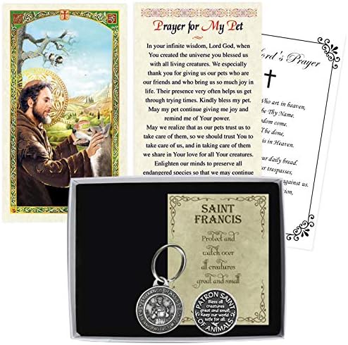 St Francis of Assisi molitvena kartica, kućna ljubimca za psa, džepni token novčić, Gospodin molitvena kartica | Ukupno 4 predmeta u setu