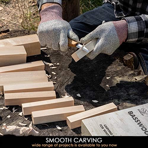 Beavercraft rezbarenje drveta detaljni nož C15 basswood carving Blocks Set Bw10 Basswood za rezbarenje drveta