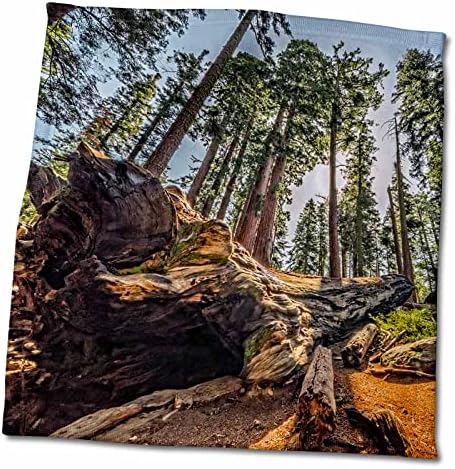 3drose crveno drvo na brdu u Nacionalnom parku Sequoia - Ručnici