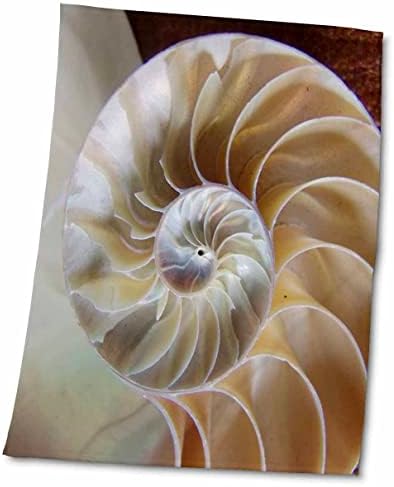 3Droza Florene Macro Priroda - Nautilus up Close - Ručnici