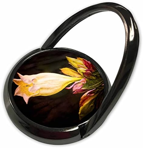 3Droza Boehm cvijet fotografija - Zlatni fuksija cvijet - telefonske prstenove