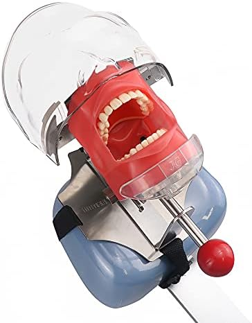 Eustoma Simulator Manikin Fantom Head Model sa montiranjem klupa na zubnom modelu zuba