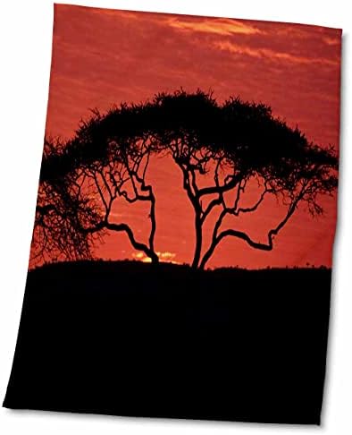3drose Akia Tree u Nacionalnom parku Serengeti Tanzanija Afrika - Ručnici