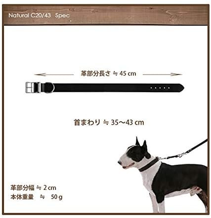 Prirodno BE C20 / 43 ovratnik za pse, 35 - 43 cm / 20 mm, bež