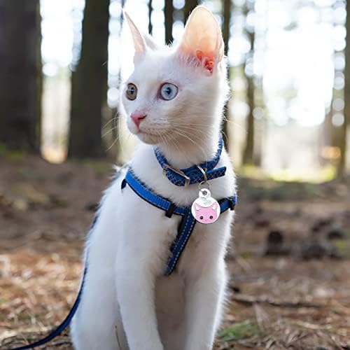 Smiješna mačka duboko ugravirana ID oznaka za kućne ljubimce od nehrđajućeg čelika za privjesak za ogrlicu
