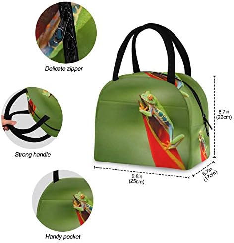 YYZZH tropska životinjska žaba u džungli prašuma izolovana Zipper torba za ručak Cooler Meal Prep